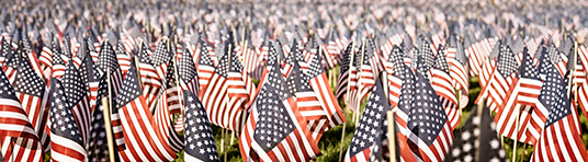 Many-American-flags-in-field.