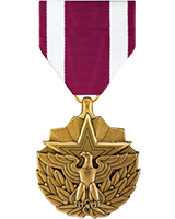 MERITORIOUS SERVICE MEDAL