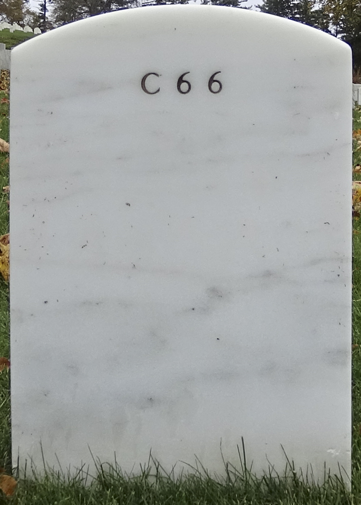Gravesite marker image for george ladd