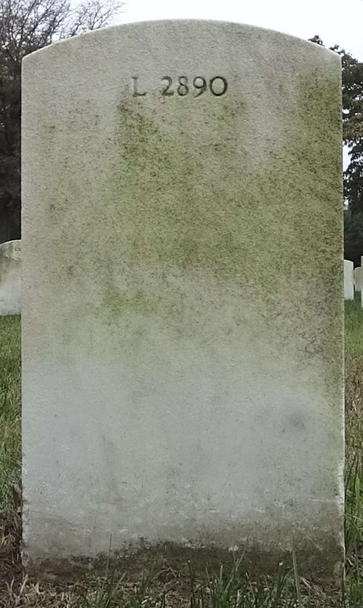 Gravesite marker image for norman h simon