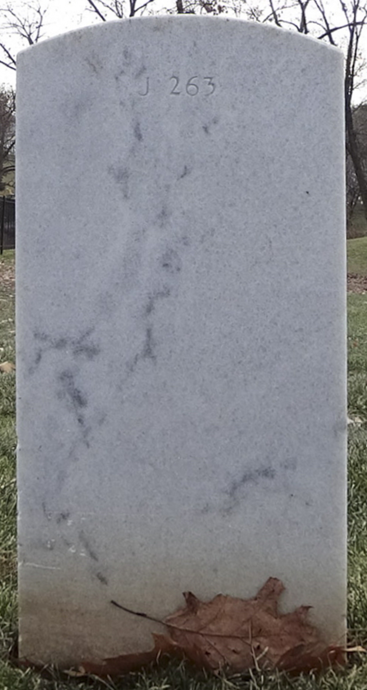 Gravesite marker image for walter melton johnson jr