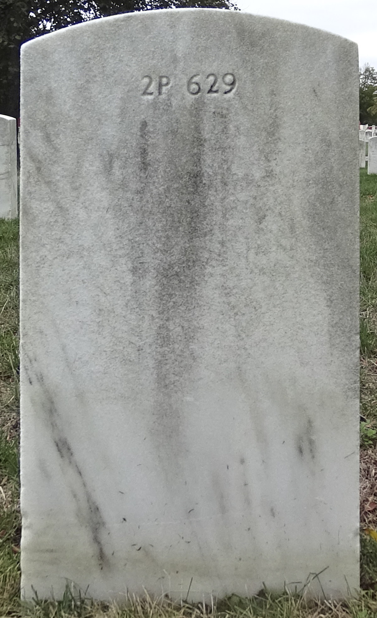 Gravesite marker image for calvin reid
