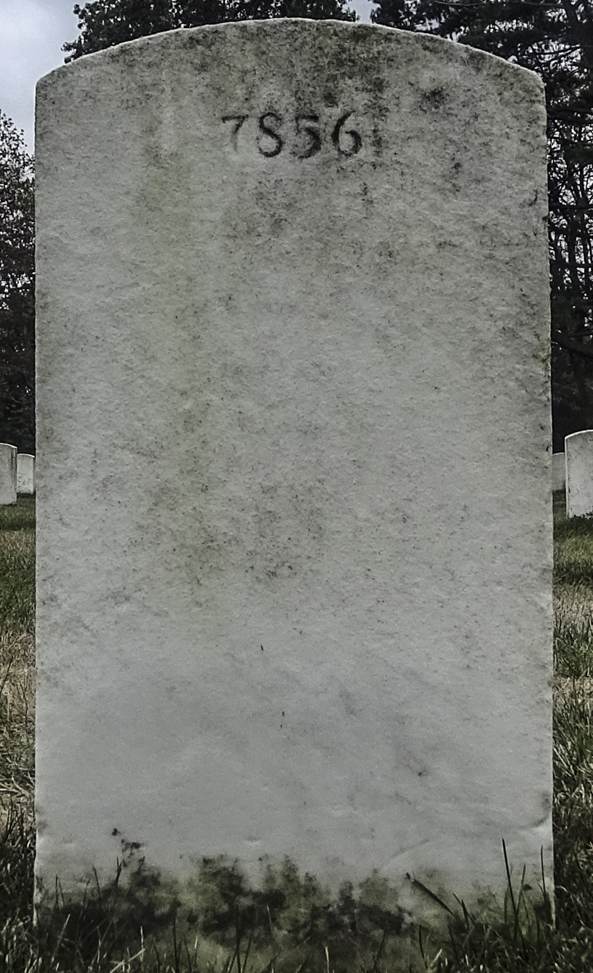 Gravesite marker image for frank henry lenze jr