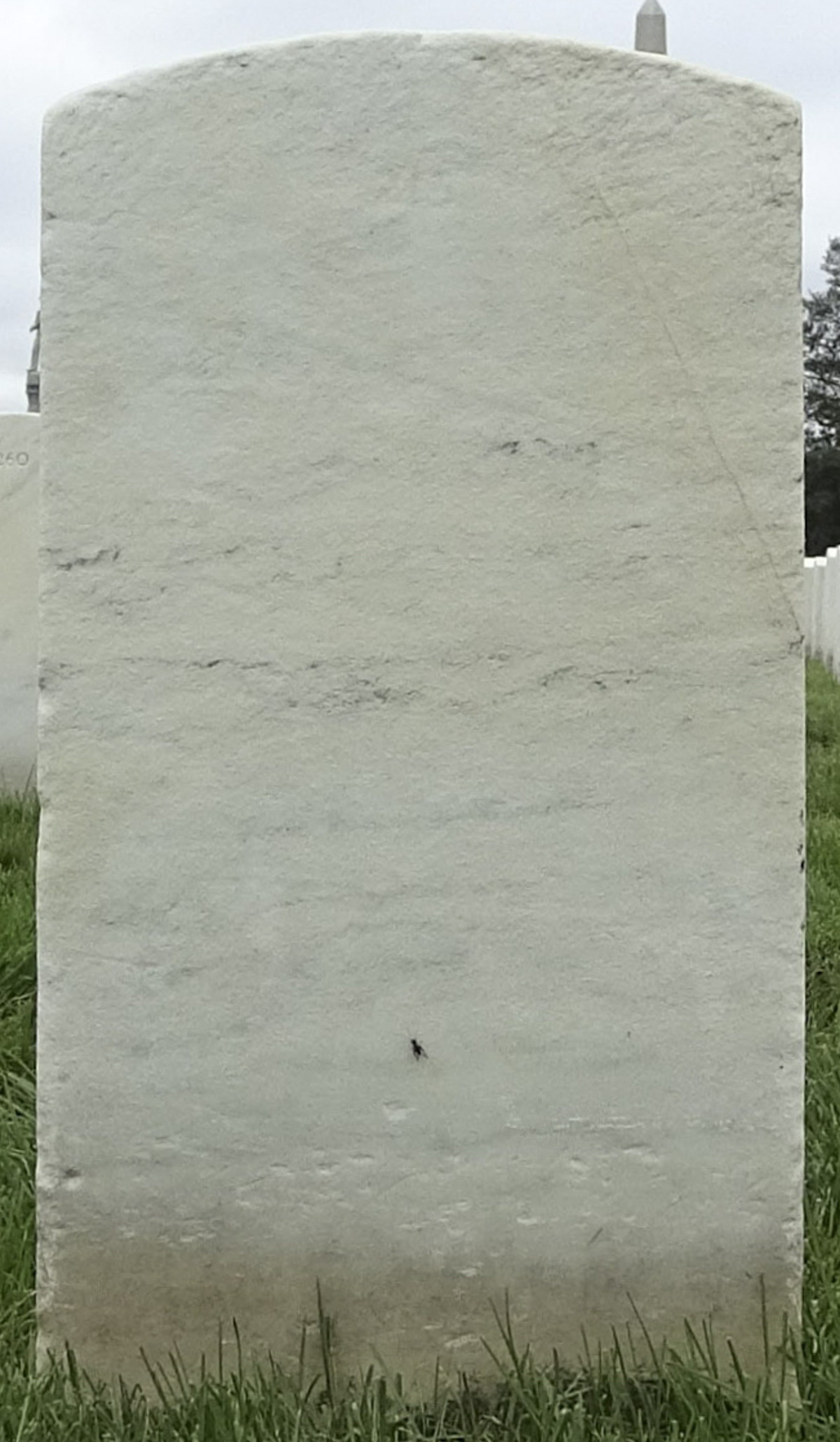 Gravesite marker image for edward wells