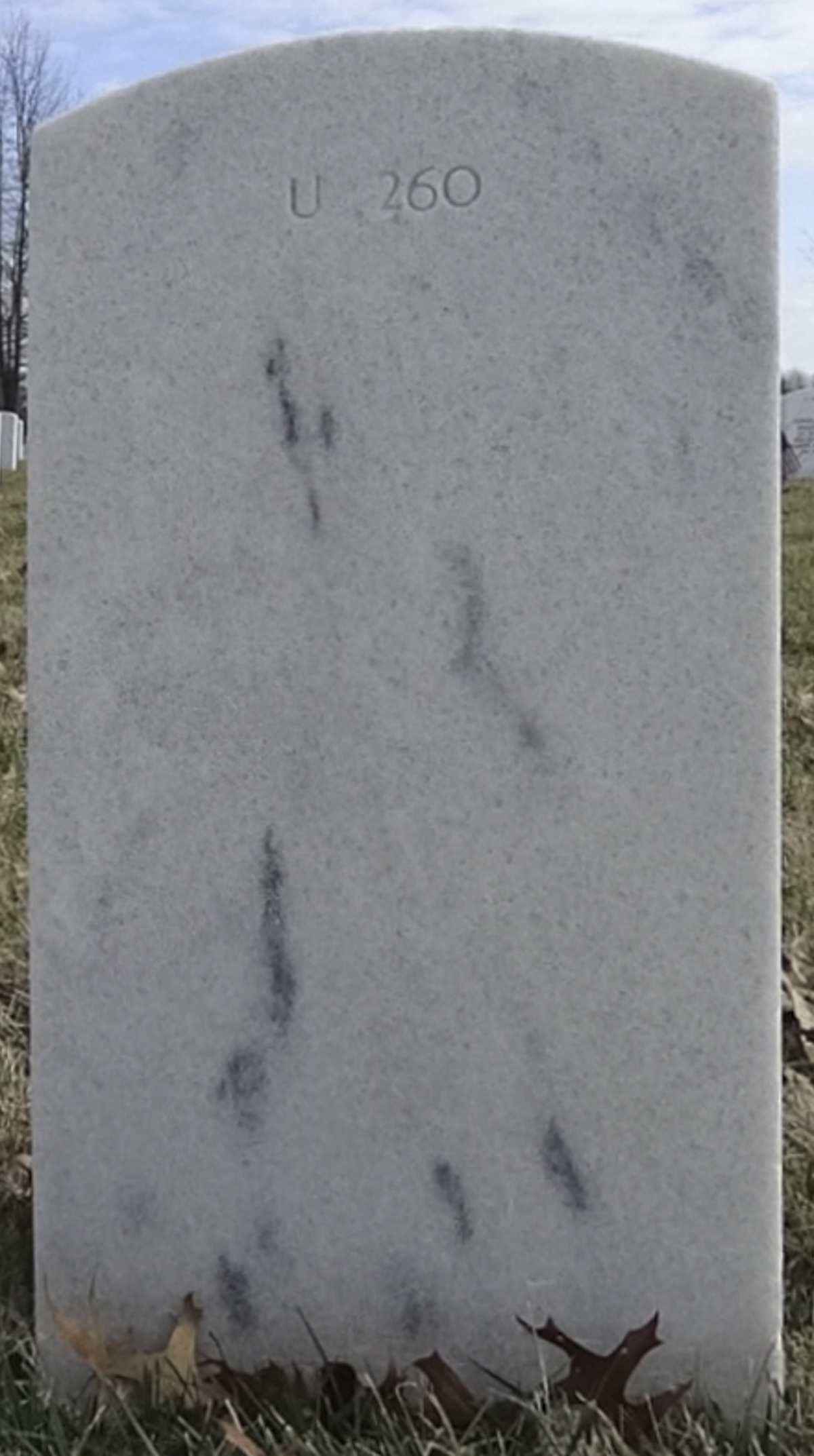 Gravesite marker image for charles r davis