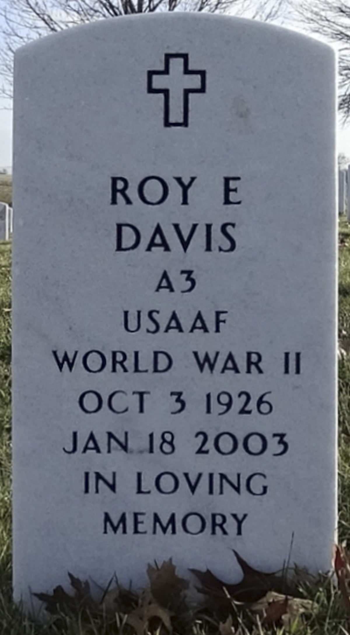 Gravesite marker image for roy e davis