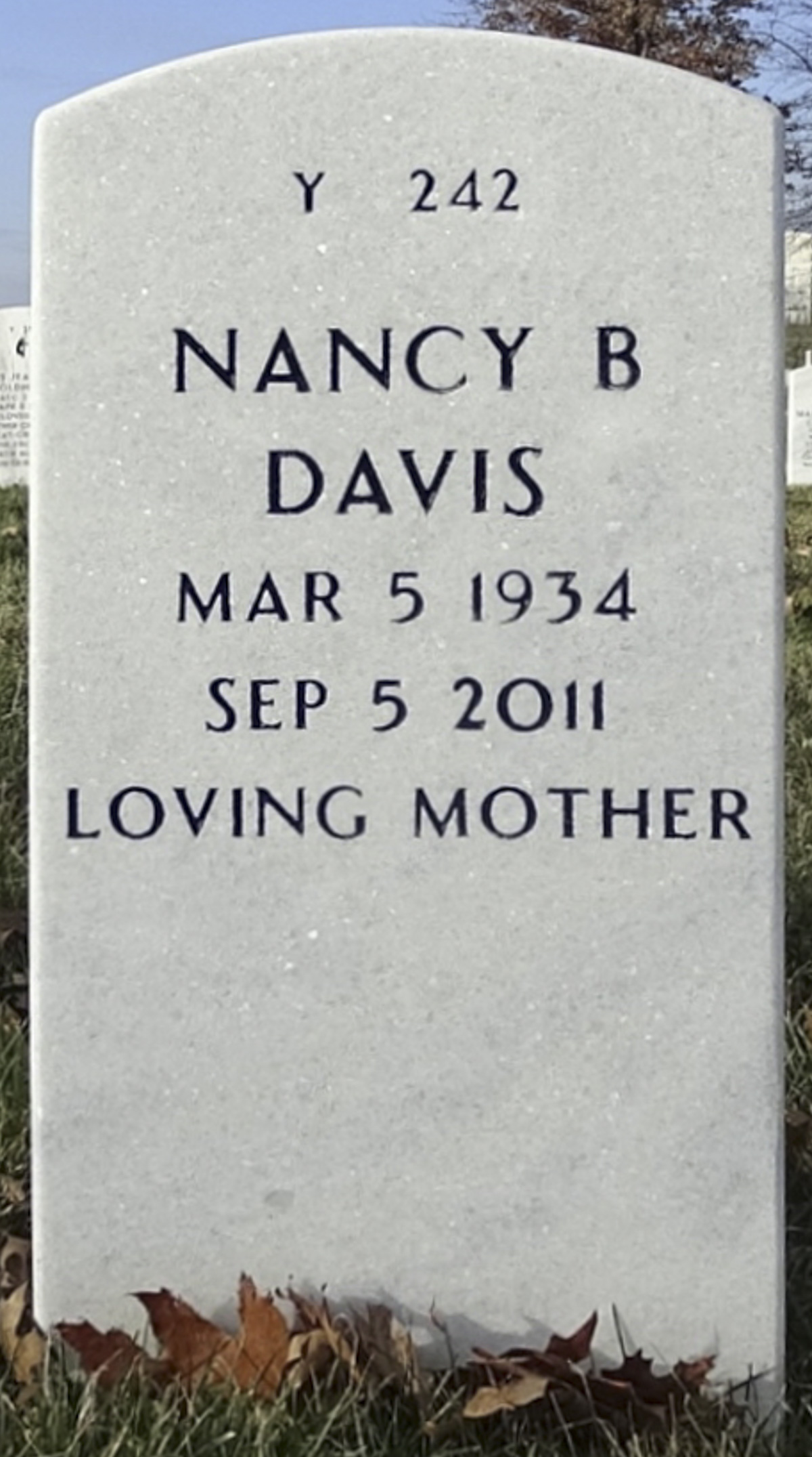 Gravesite marker image for roy e davis