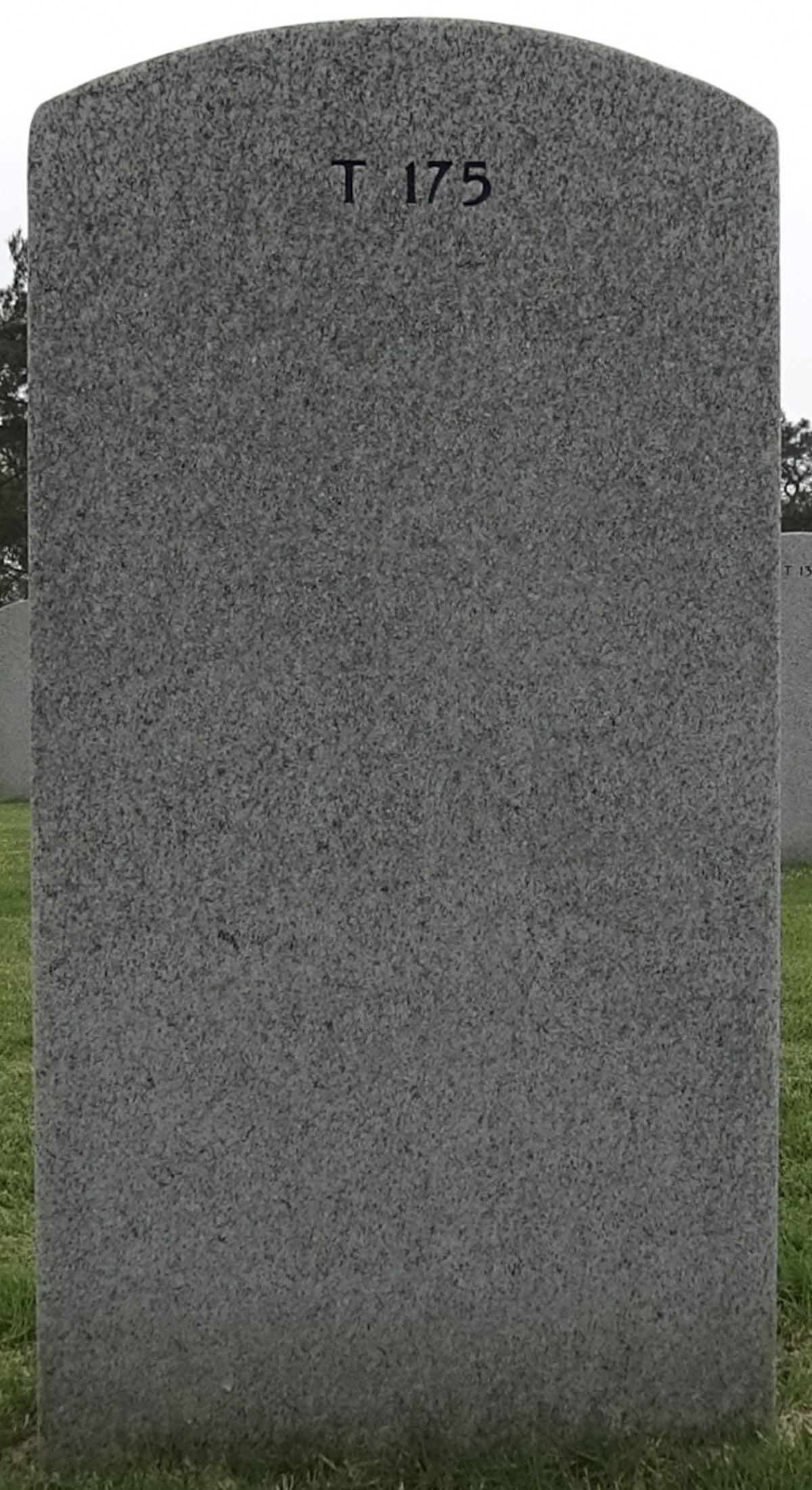 Gravesite marker image for lee vester young