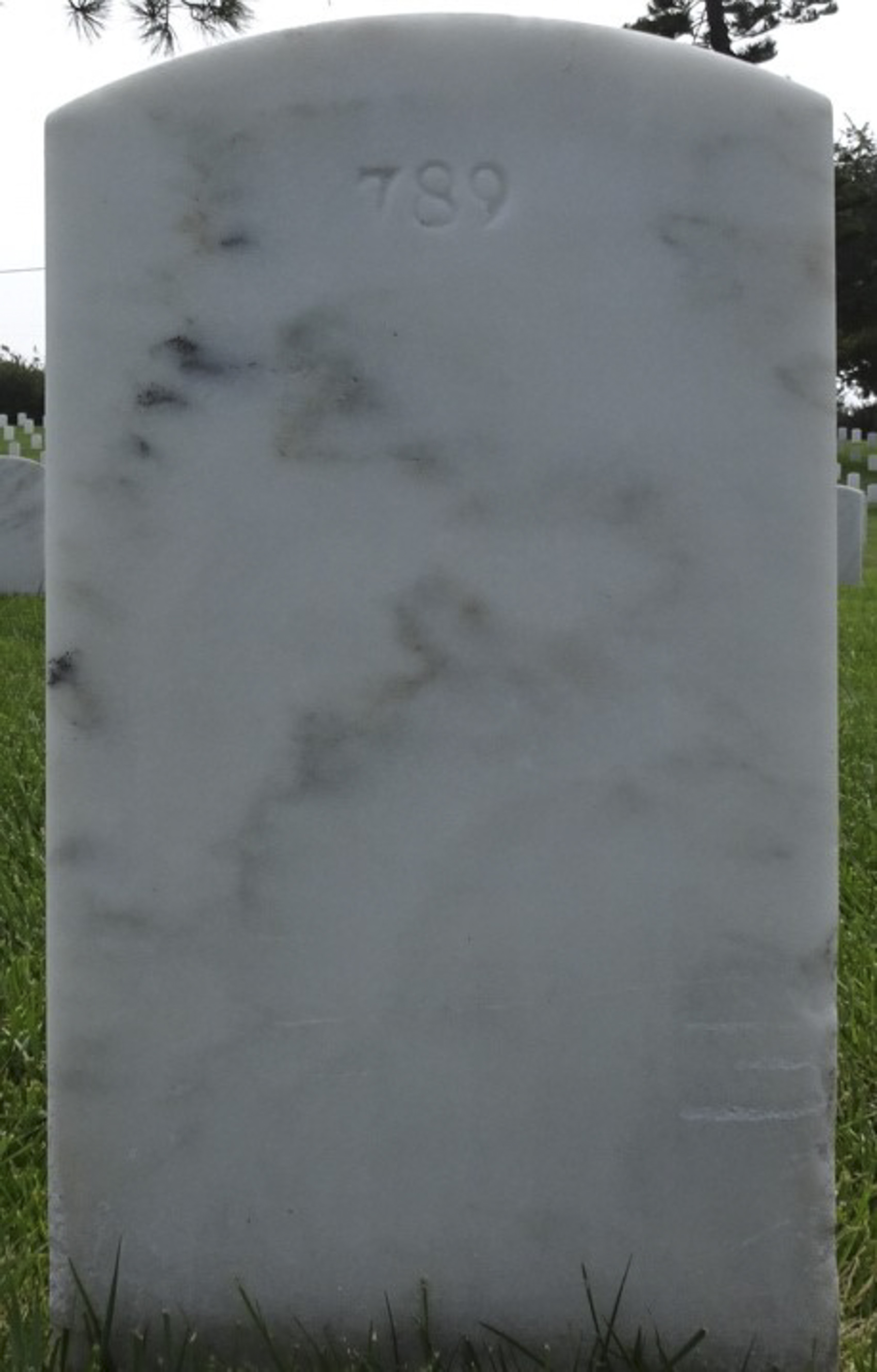 Gravesite marker image for henry carl holland