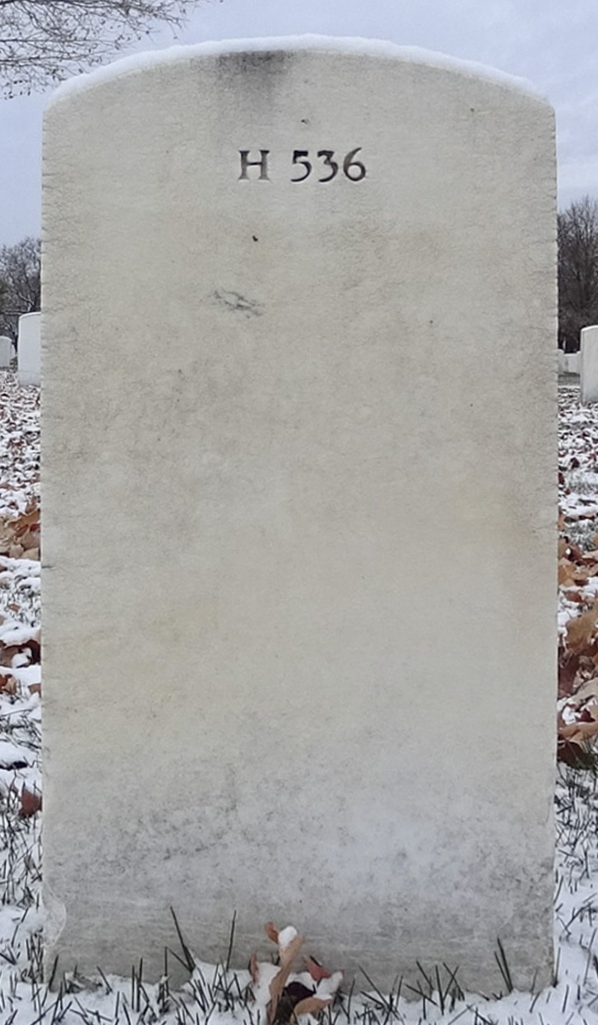 Gravesite marker image for ralph h webber