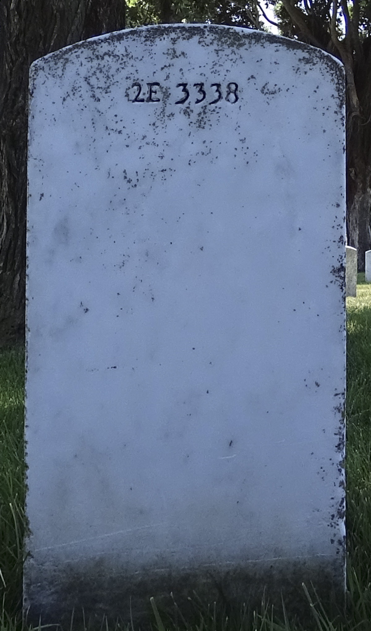 Gravesite marker image for julius adolph meyer