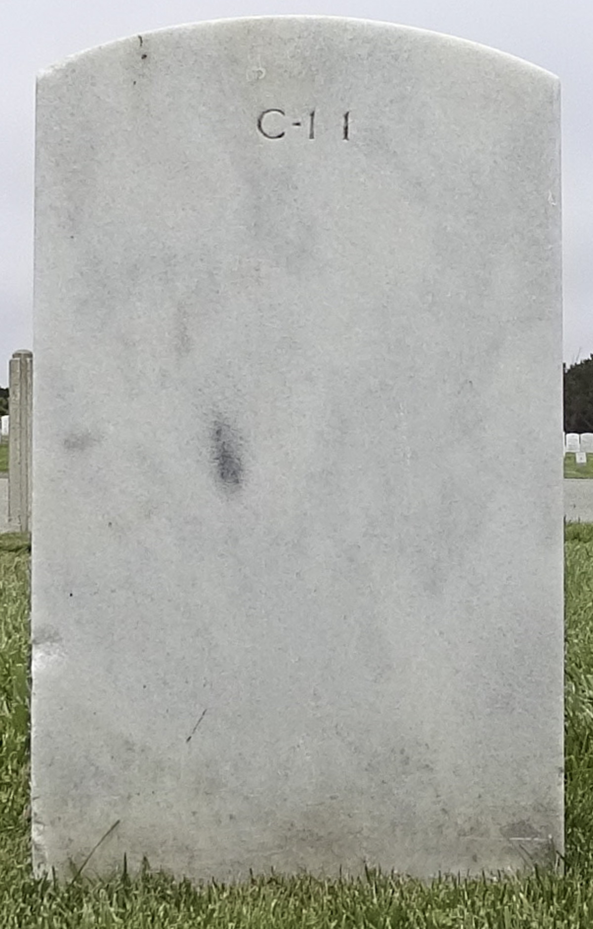 Gravesite marker image for chester w nimitz