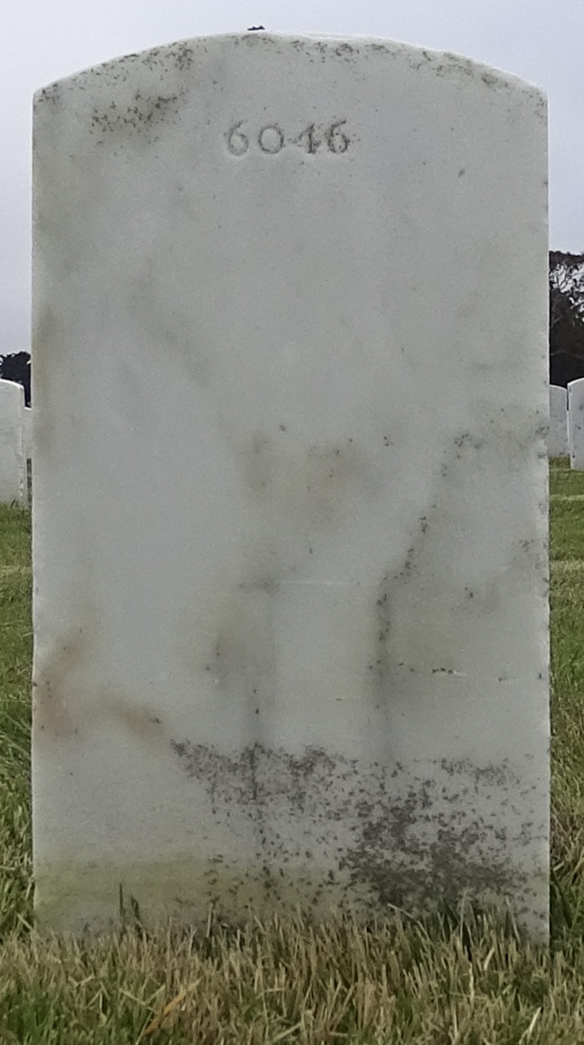 Gravesite marker image for harold t staley
