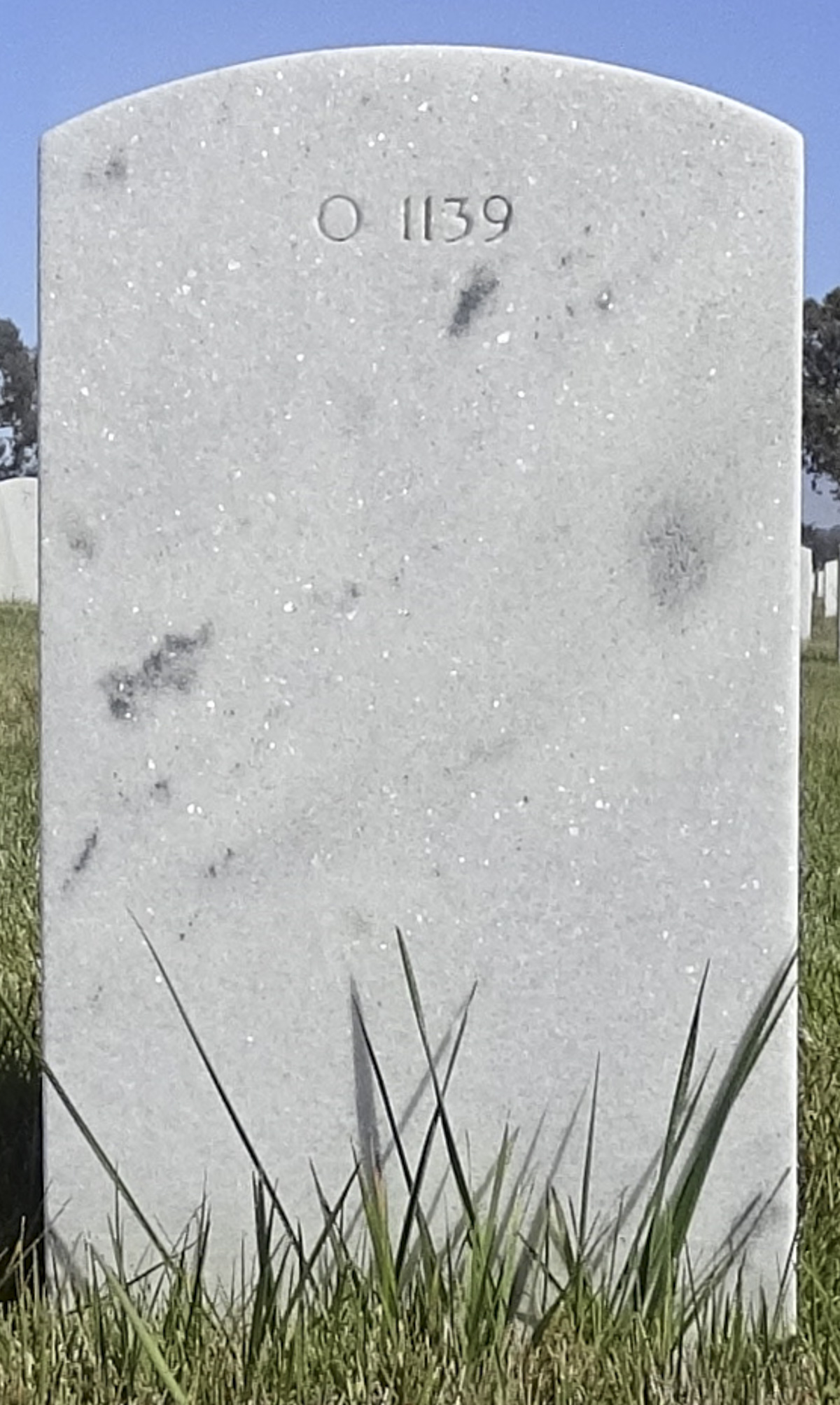 Gravesite marker image for magnus george fischer