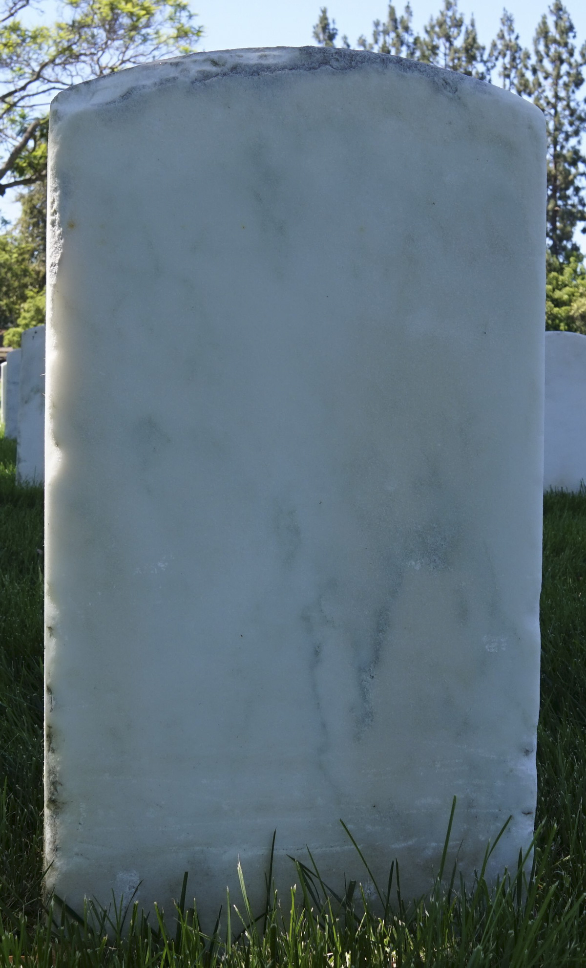 Gravesite marker image for carrol henry ver hoef
