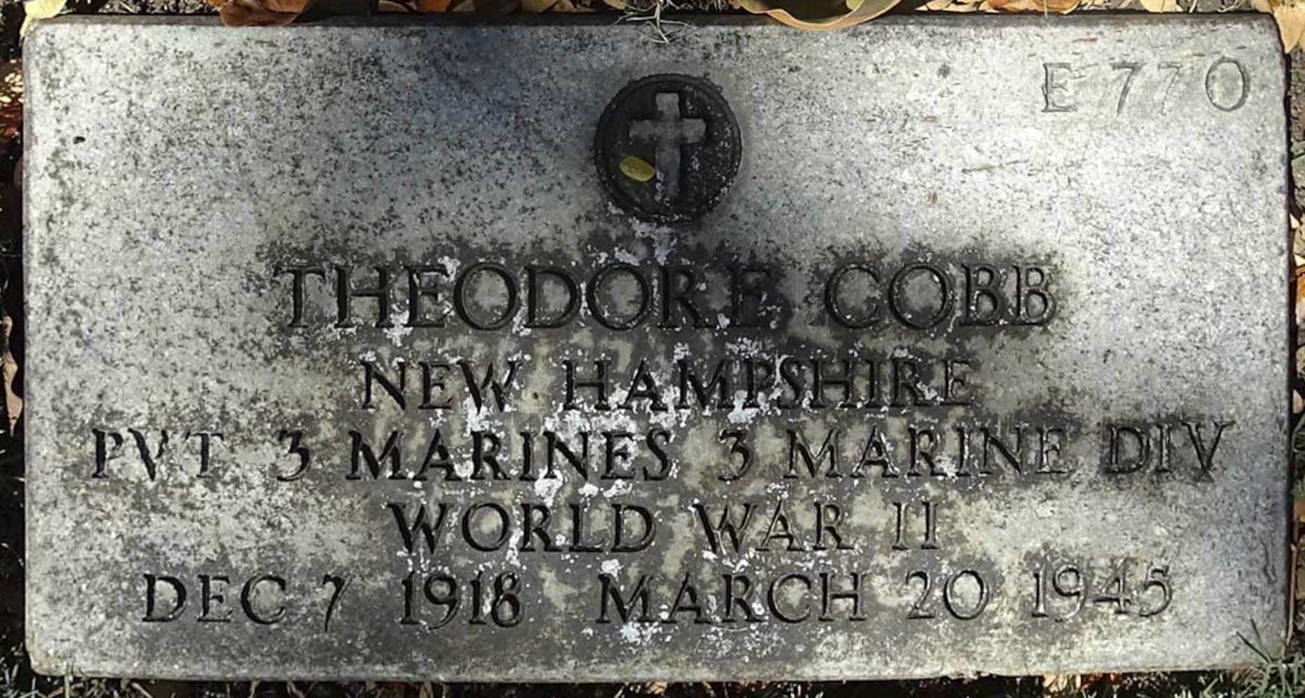 Gravesite marker image for theodore cobb
