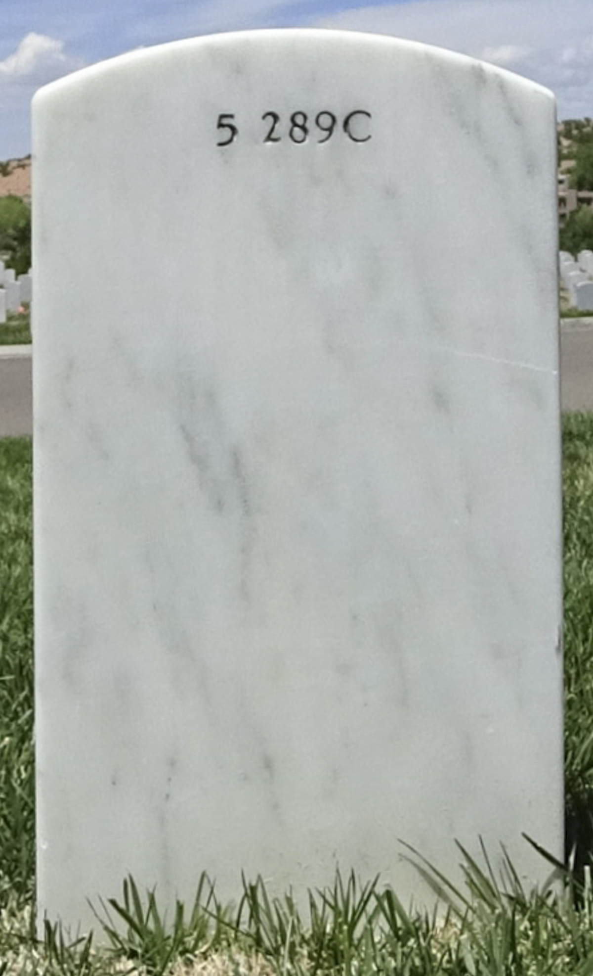 Gravesite marker image for lisa diane shodean