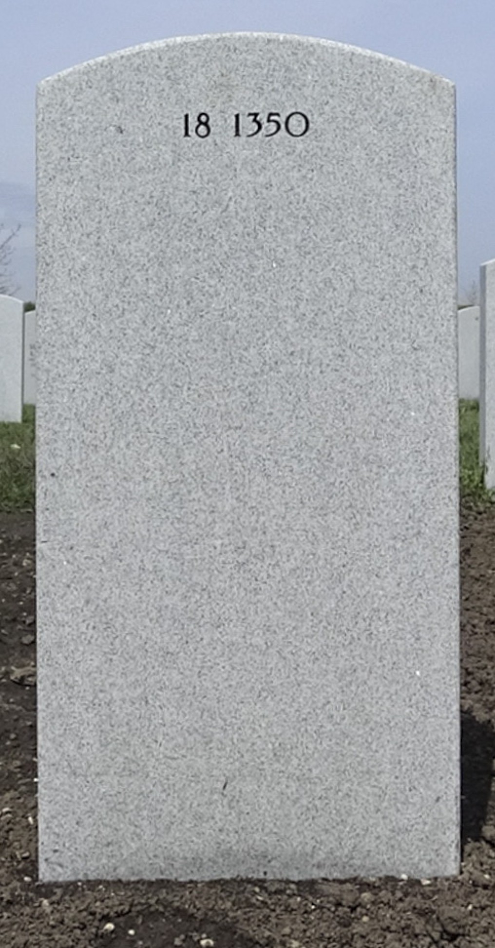 Gravesite marker image for earl anthony hollins