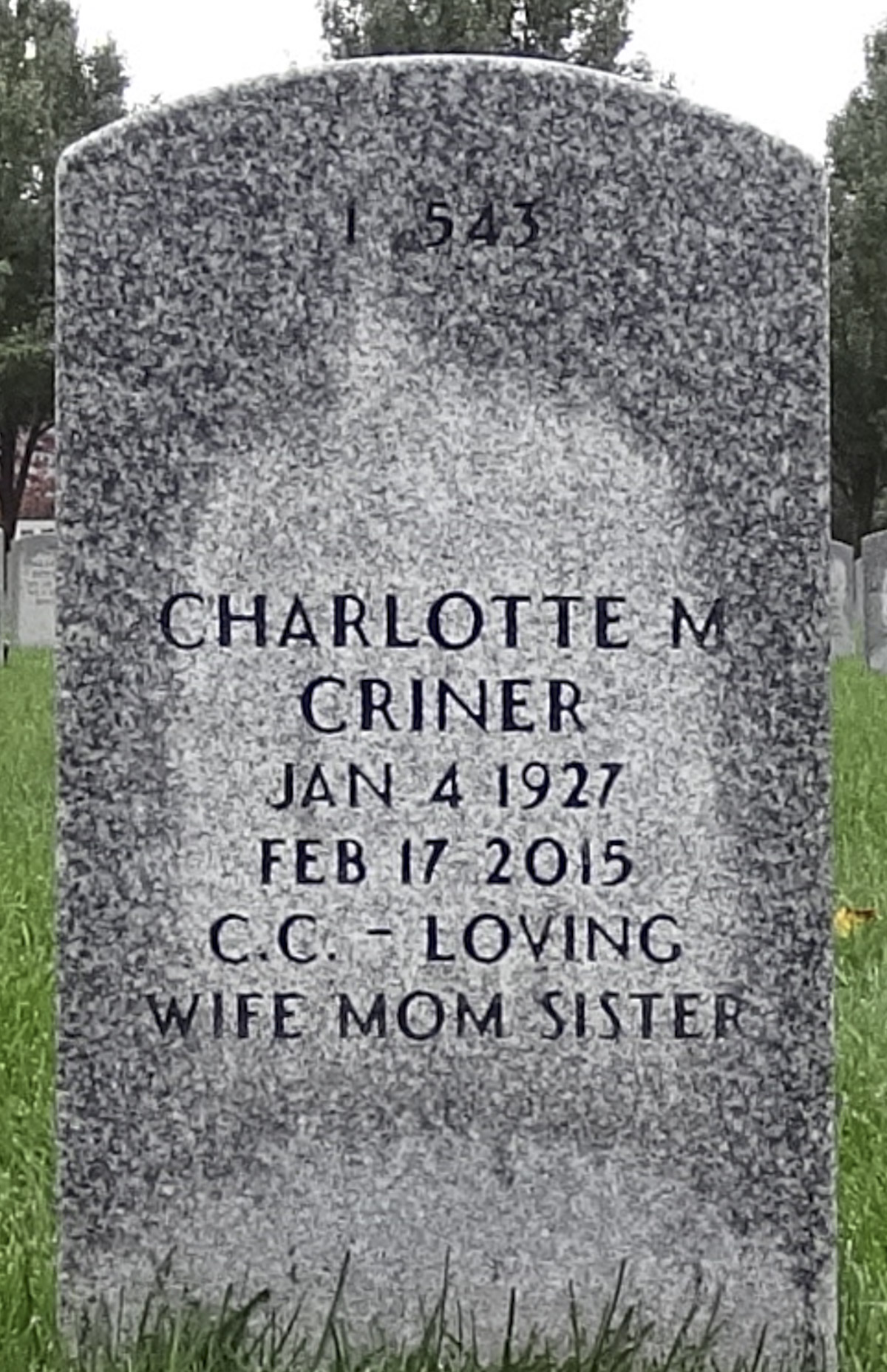 Gravesite marker image for clyde criner jr
