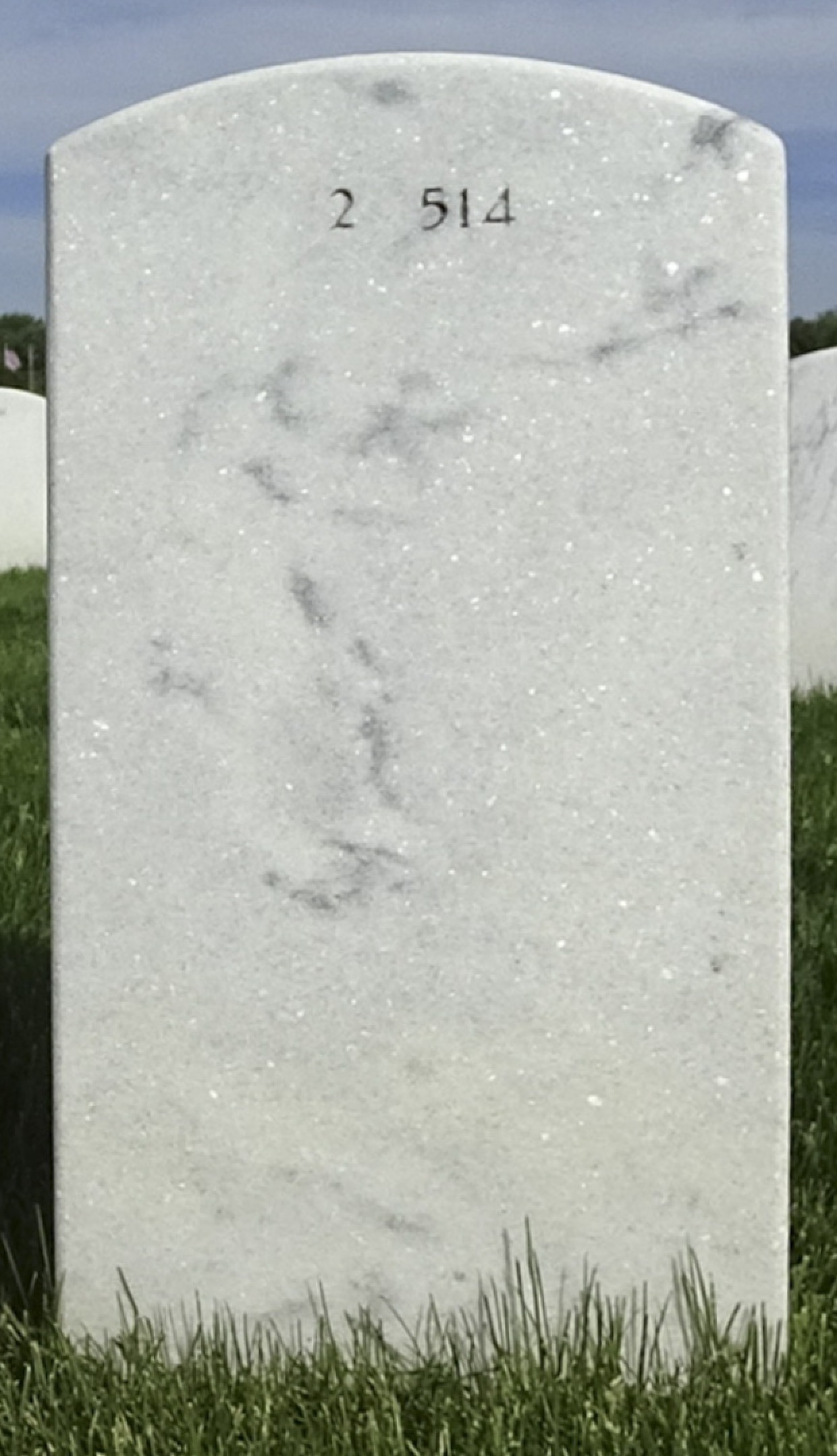 Gravesite marker image for robert emanuel wayne