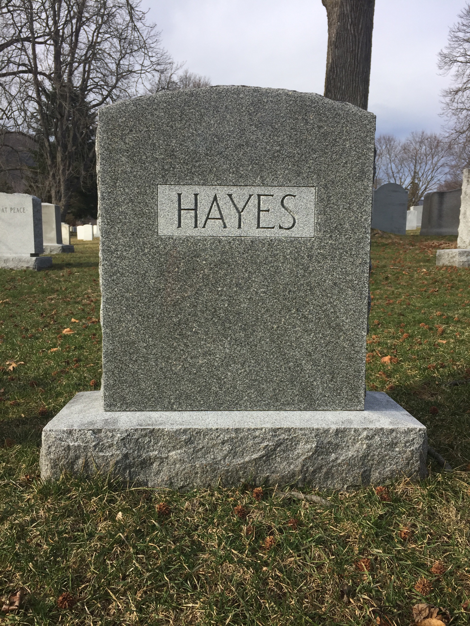 Gravesite marker image for theodore l hayes