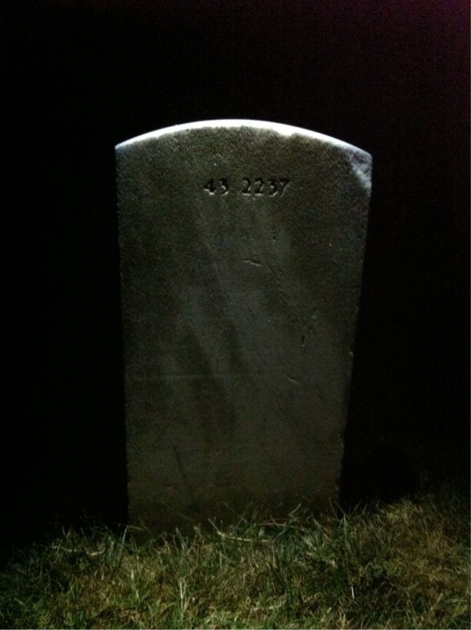 Gravesite marker image for eugene wells