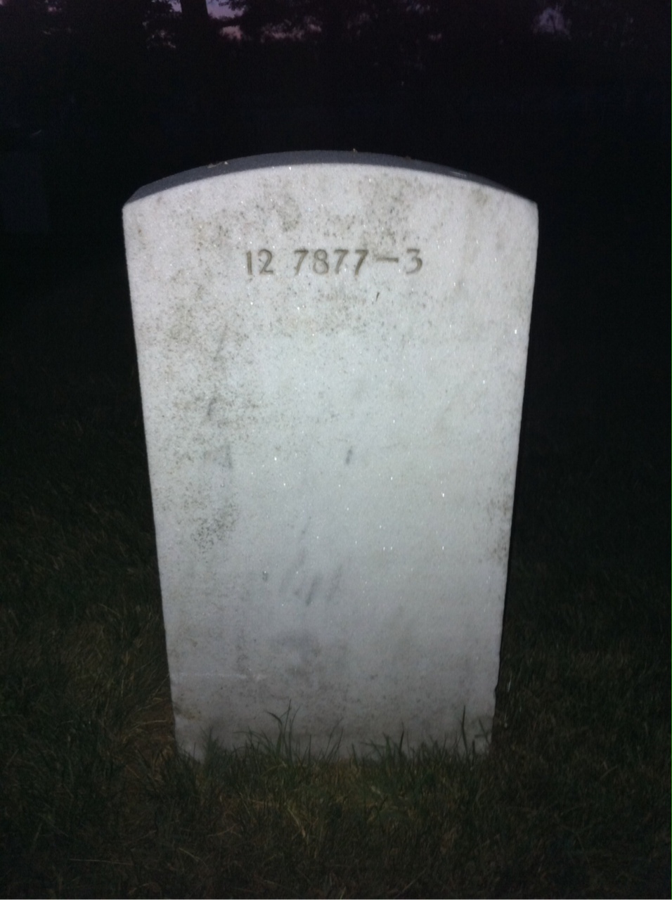 Gravesite marker image for billie franklin griffith