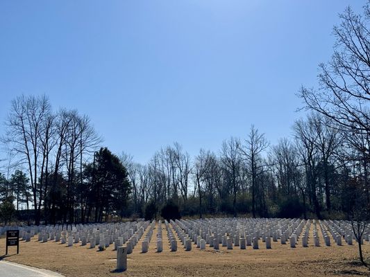 A field of graves at a state veterans cemetery in Arkansas surrounded by large trees.