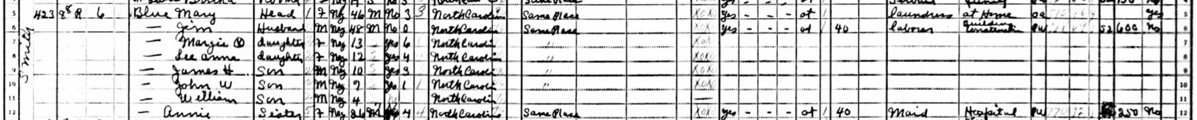 Excerpt from 1940 North Carolina Census showing the Blue family's demographic information.