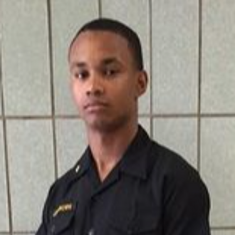 Julian Holland Brown Iii