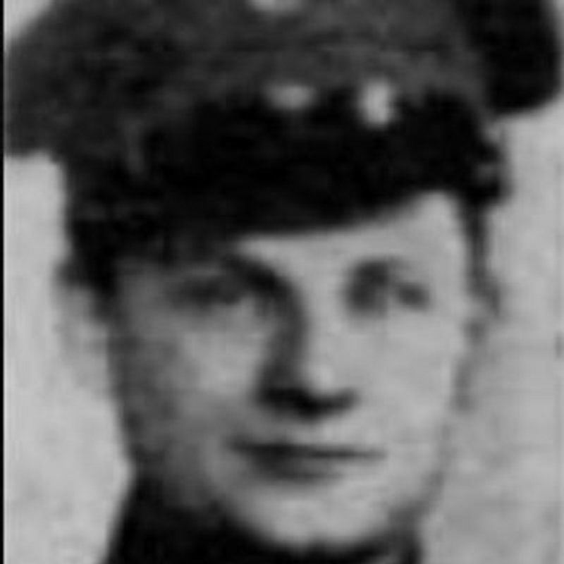 Warren H Bornholz