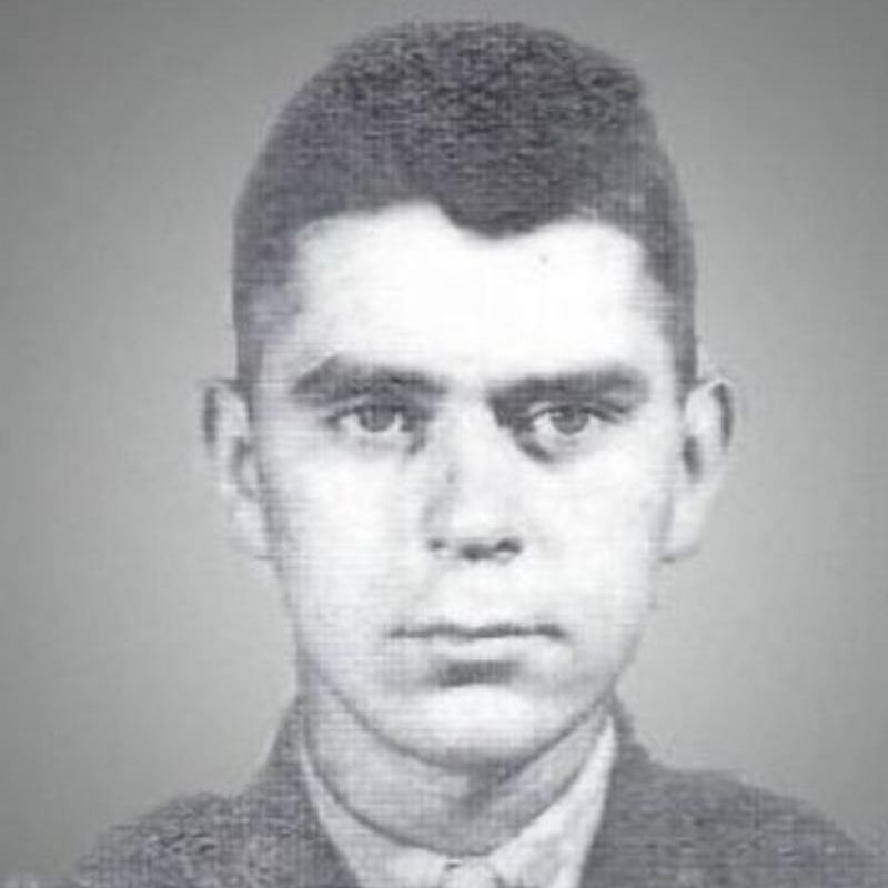 Zivo Bodroski