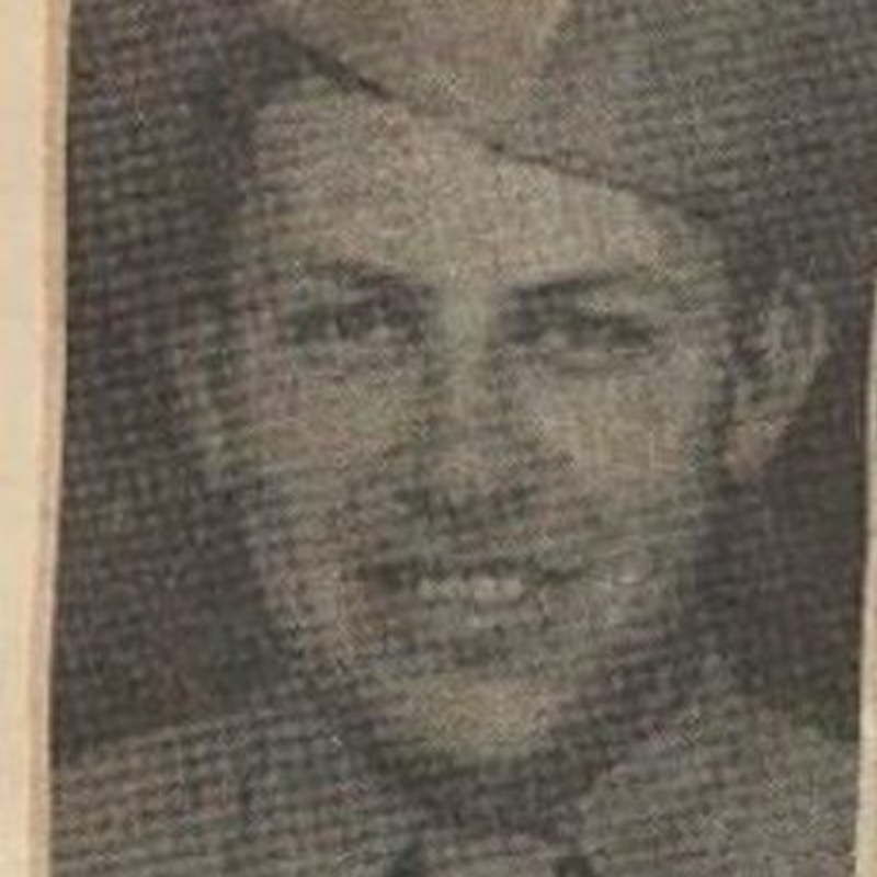John Elvin York